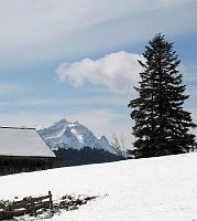  2. April 2010 - ein schöner Blick auf den Säntis